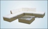 Leisure Furniture/Outdoor Rattan Furniture (BG-110A)