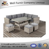 Well Furnir Garden Outdoor Furniture PE Wicker Rattan Garden Set Couch with Cushion T-079