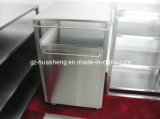 Metal Kitchen Cabinet with Dustbin (HS-039)