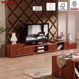 Modern Living Room FurnitureTV Stand / TV Shelf (GSP13-016)