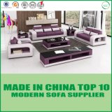New Design Combination Sectional Leather Sofa