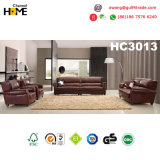 American Style Antique Furniture 1+1+2+3 Sofa Set (HC3013)