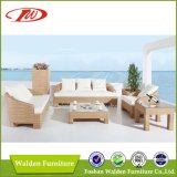 Elegant Outdoor Garden Patio Rattan/ Wicker Leisure Sofa (DH-9605)