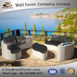 Well Furnir T-058 3 Part Rattan Garden Furniture Special Design Sofa Set