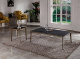 2017 New Design Tempered Glass Coffee Table with Metal Frame