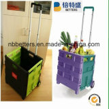 Best Price Good Plastic Folding Shopping Trolley Cart with 2 Wheels