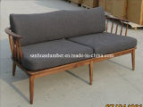 Classical Style for Natural Coating Sofa (SF-3KN-16)