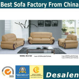 Top Grain Genuine Leather Sofa Living Room Furniture (C18)
