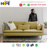 Ikea Living Room Furniture Modern Design Fabric Sofa (HC-X03)