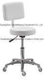 Beauty Furniture Stool Chair Stylists' Chair for Cheap Selling