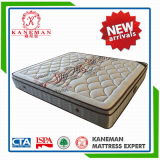 New Arrival Comfort Knitted Fabric Pocket Coil Mattress