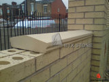 Natural White / Beige Sandstone Honed Coping Stone for Wall and Swimming Pool