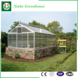 Aluminum Frame Glass Green House with Arch/Triangle Roof