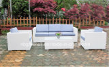 PE Rattan Sofa Set Outdoor Rattan Furniture (9059S)
