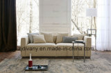 Home Furniture Modern Sofa Fabric D-62c