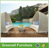 Outdoor Lounge for Bed / Sofa with Pillows (GN-3631L)