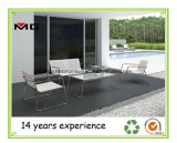 Metal Outdoor Furniture/ Garden Sofa with Stainless Steel Frame
