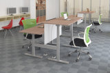 Hot Sales Modern Electric Lifting Adjustable Sit Standing Office Desk
