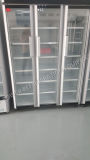 Upright Freezer with Glass Door/ Used Glass Door Freezer Display Cabinets
