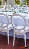 Plastic Banquet Furniture Tiffany Chiavari Louis Victoria Ghost Dining Chair