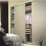 Simple Design Fashion Bedroom Wardrobe (S-022)