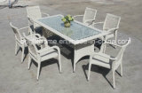 Modern Style Dining Chair and Table/Dining Room Set/Wicker Furniture (BP-3031)