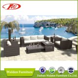 Garden Furniture Wicker Sofa Set (DH-6620)