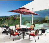 Outdoor /Rattan / Garden / Patio/ Hotel Furniture Cast Aluminum Chair & Barbecue Table Set (HS 3190C & HS 6125DT)