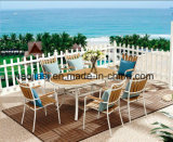Outdoor /Rattan / Garden / Patio/ Hotel Furniture Polywood Chair & Table Set (HS3259C& HS 6112DT)
