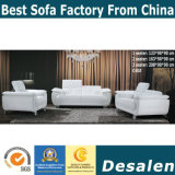 Living Room Genuine Leather Sofa in Home Furniture (C40)