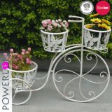 Antique White Bicycle Plant Stand Outdoor Decoration