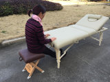 Mt-009-2W Wooden Massage Table and Beauty Table