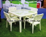 Garden Furniture / Dining Chair and Table (BP-331A)