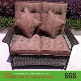 Rattan Chair/Douable Chair/Two-Seater Sofa/Wicker Furniture