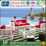 PE Rattan & Aluminum Furniture, Outdoor Rattan Sofa (TG-001)