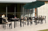 Outdoor /Rattan / Garden / Patio / Hotel Furniture Polywood Furniture Chair & Table Set (HS 3001C&HS 7115DT)