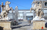 Marble Stone Animal Carving Horse Sculpture for Garden Decoration