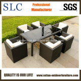 6 Seater Outdoor Tables/Chairs (SC-B8894)