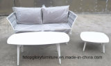 2018 New Design Belt Woven Outdoor Sofa Tea Table Set (TG-S180)