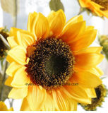 Magic Touch Silk Sunflowers for Wedding Decoration Cheap Silk Fake Flowers Artificial Sunflowers Factory Direct