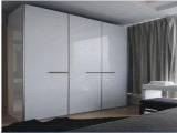 Modern Bedroom Furniture Big Size Clothes Cabinet Wardrobe (SM-W17)