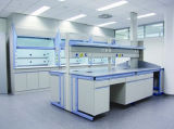 High Quality Wood and Steel Structure Lab Furniture