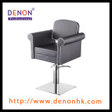 Hair Chair Salon Furniture Beauty Manufacturer (DN. LY540)