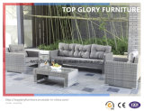New Design Outdoor/Patio Furniture Sofa Set (TG-027)