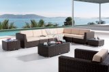 Outdoor Rattan Home Hotel Office Wicker Patio Garden Auckland Lounge Sofa (J634)