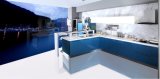 Fashion Acrylic Demet Kitchen Cabinet Design (zv-005)