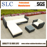 Rattan Furniture/Rattan Outdoor Furniture/Rattan Sofa (SC-B8850)