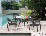 Garden/Patio Rattan Dining Sets for Outdoor Furniture (LN-1031)