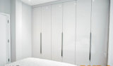 High Glossy Hinged Door Lacquer Finish Wardrobe (BY-W-12)