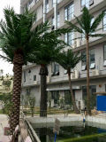 Factory Direct Artificial Palm Tree for Garden Decoration